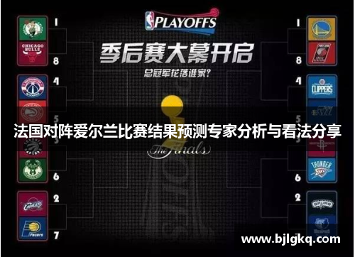 法国对阵爱尔兰比赛结果预测专家分析与看法分享