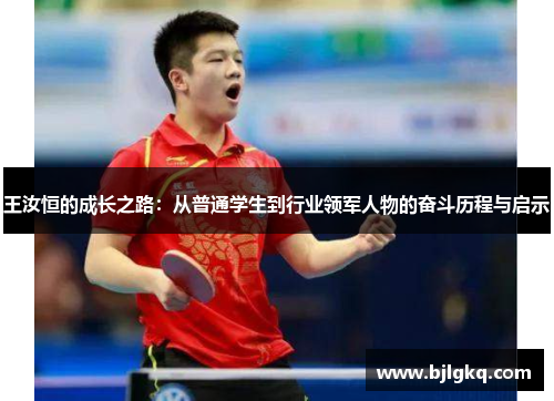 王汝恒的成长之路：从普通学生到行业领军人物的奋斗历程与启示